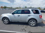 2009 Ford Escape Xlt Silver vin: 1FMCU03G89KA50362