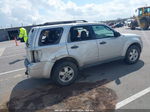 2009 Ford Escape Xlt Silver vin: 1FMCU03G89KA50362