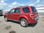 2009 Ford Escape Xlt Red vin: 1FMCU03G89KA50782