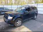 2009 Ford Escape Xlt Black vin: 1FMCU03G89KA51656