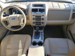 2009 Ford Escape Xlt White vin: 1FMCU03G89KA82101