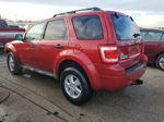 2009 Ford Escape Xlt Red vin: 1FMCU03G89KB10172