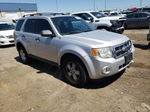 2009 Ford Escape Xlt Silver vin: 1FMCU03G89KB10365