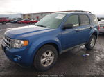 2009 Ford Escape Xlt Blue vin: 1FMCU03G89KB78682