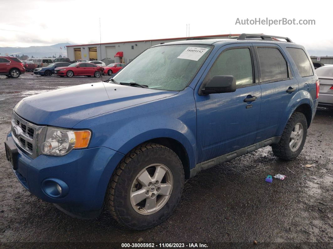 2009 Ford Escape Xlt Blue vin: 1FMCU03G89KB78682