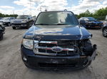 2009 Ford Escape Xlt Black vin: 1FMCU03G89KC34605