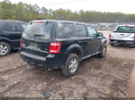 2009 Ford Escape Xlt Black vin: 1FMCU03G89KC46575