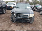 2009 Ford Escape Xlt Black vin: 1FMCU03G89KC46575