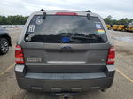 2009 Ford Escape Xlt Gray vin: 1FMCU03G99KA07049