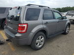 2009 Ford Escape Xlt Gray vin: 1FMCU03G99KA07049