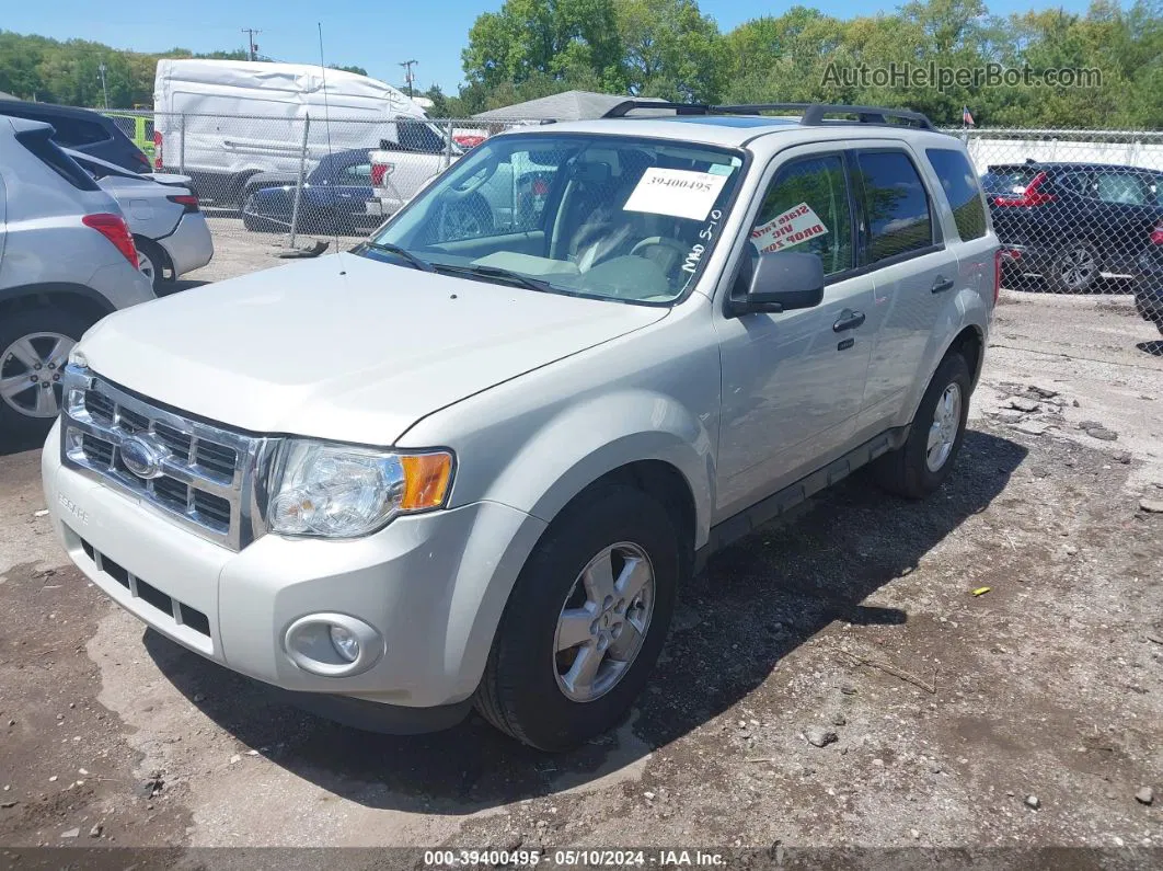 2009 Ford Escape Xlt Beige vin: 1FMCU03G99KA51911