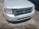 2009 Ford Escape Xlt Бежевый vin: 1FMCU03G99KA51911