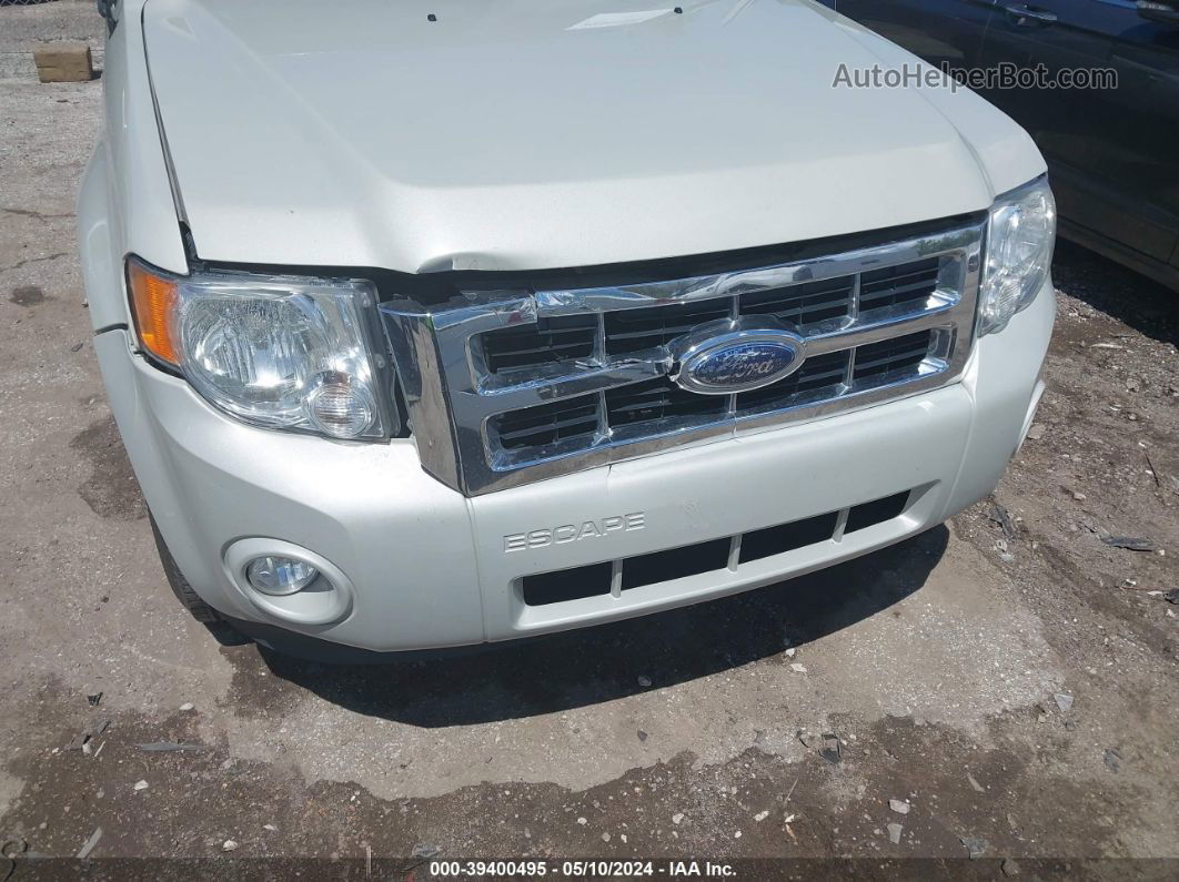 2009 Ford Escape Xlt Beige vin: 1FMCU03G99KA51911