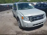 2009 Ford Escape Xlt Beige vin: 1FMCU03G99KA51911