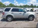 2009 Ford Escape Xlt Beige vin: 1FMCU03G99KA51911