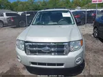 2009 Ford Escape Xlt Beige vin: 1FMCU03G99KA51911