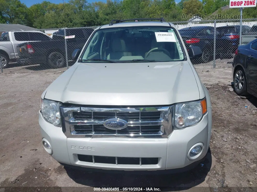 2009 Ford Escape Xlt Beige vin: 1FMCU03G99KA51911