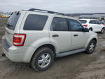 2009 Ford Escape Xlt Beige vin: 1FMCU03G99KB11458