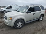 2009 Ford Escape Xlt Beige vin: 1FMCU03G99KB11458