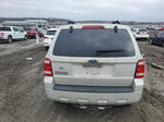 2009 Ford Escape Xlt Beige vin: 1FMCU03G99KB11458