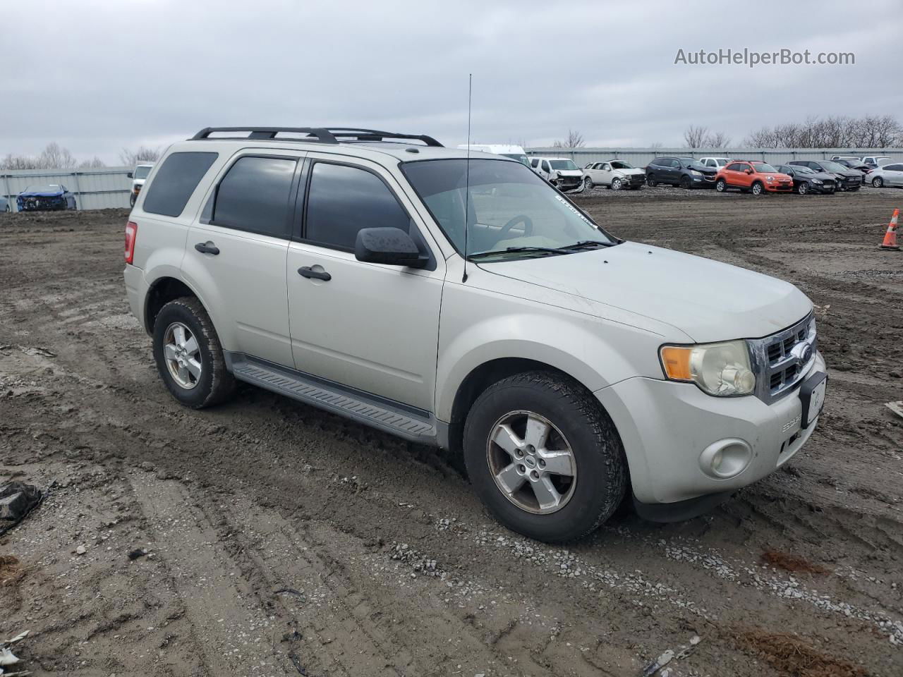 2009 Ford Escape Xlt Beige vin: 1FMCU03G99KB11458