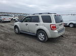 2009 Ford Escape Xlt Beige vin: 1FMCU03G99KB11458