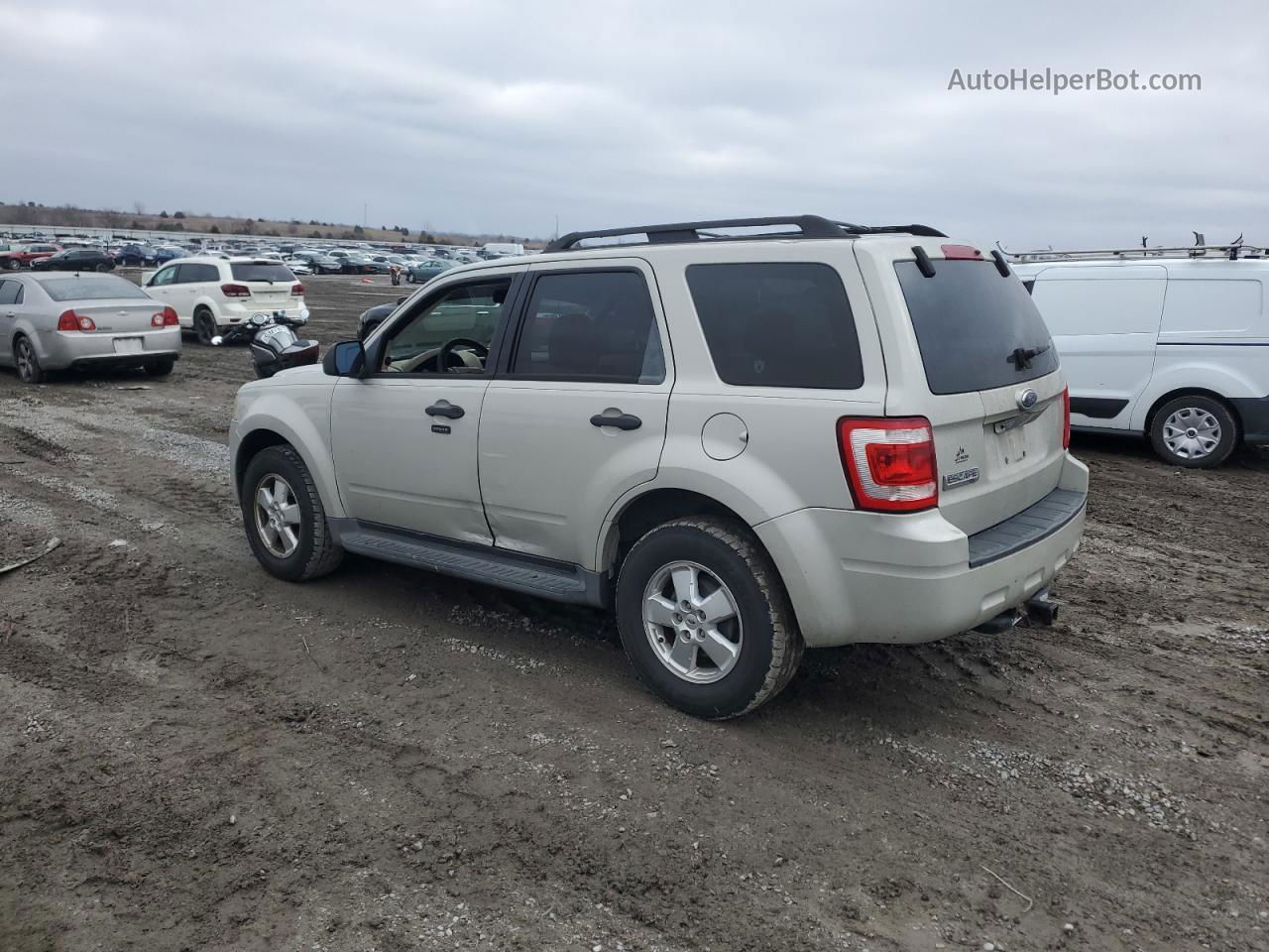 2009 Ford Escape Xlt Beige vin: 1FMCU03G99KB11458