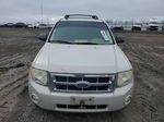 2009 Ford Escape Xlt Beige vin: 1FMCU03G99KB11458