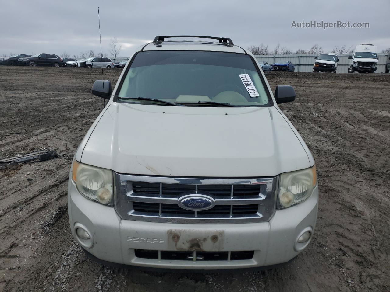 2009 Ford Escape Xlt Beige vin: 1FMCU03G99KB11458