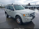 2009 Ford Escape Xlt Beige vin: 1FMCU03G99KB13260