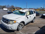 2009 Ford Escape Xlt White vin: 1FMCU03GX9KA10283