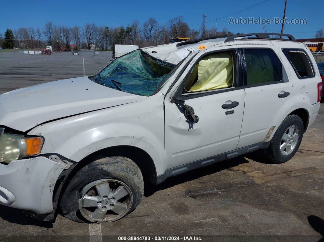 2009 Ford Escape Xlt Белый vin: 1FMCU03GX9KA10283