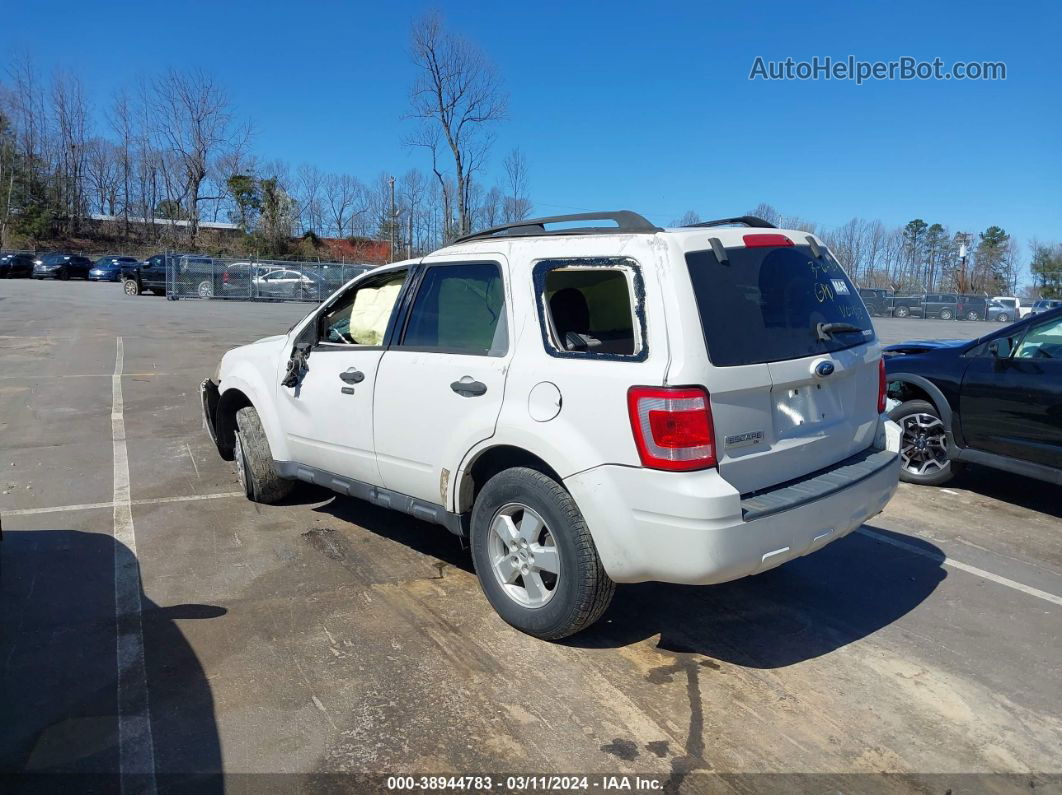 2009 Ford Escape Xlt Белый vin: 1FMCU03GX9KA10283