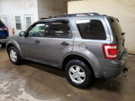 2009 Ford Escape Xlt Gray vin: 1FMCU03GX9KA11658