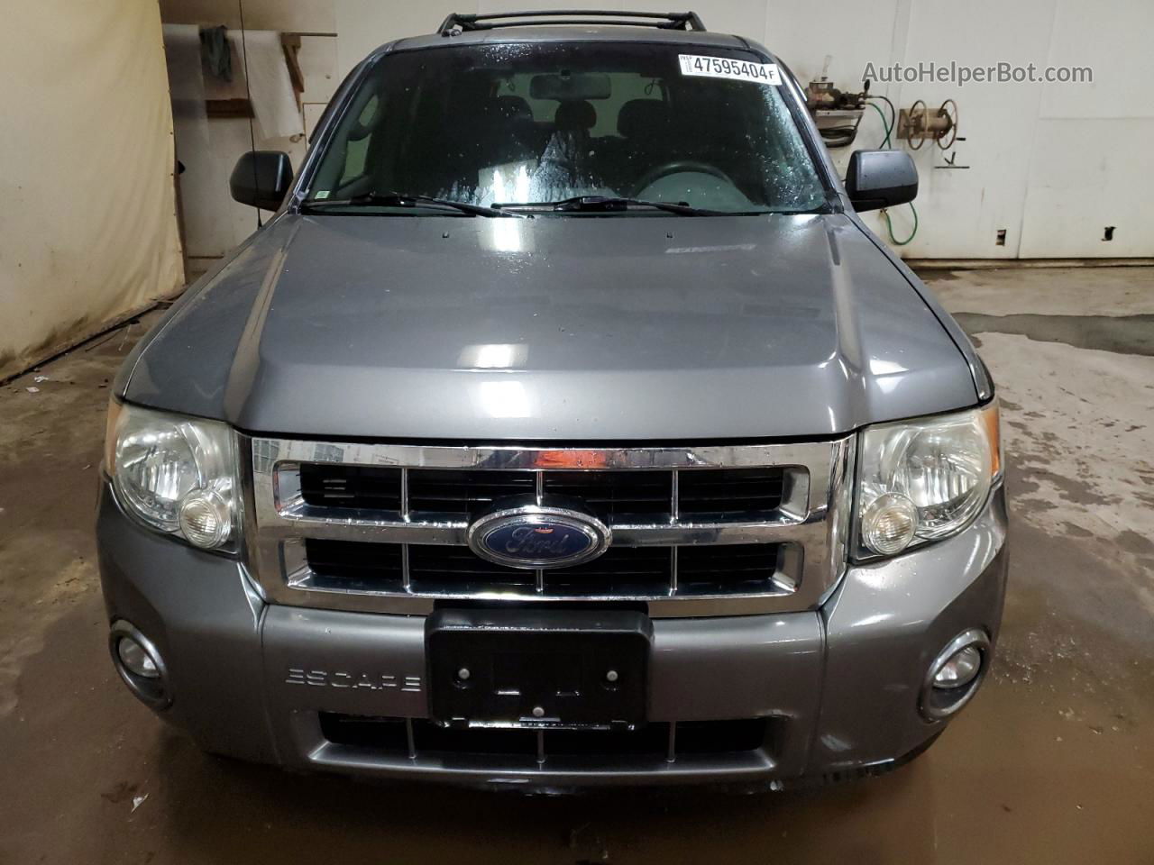 2009 Ford Escape Xlt Gray vin: 1FMCU03GX9KA11658