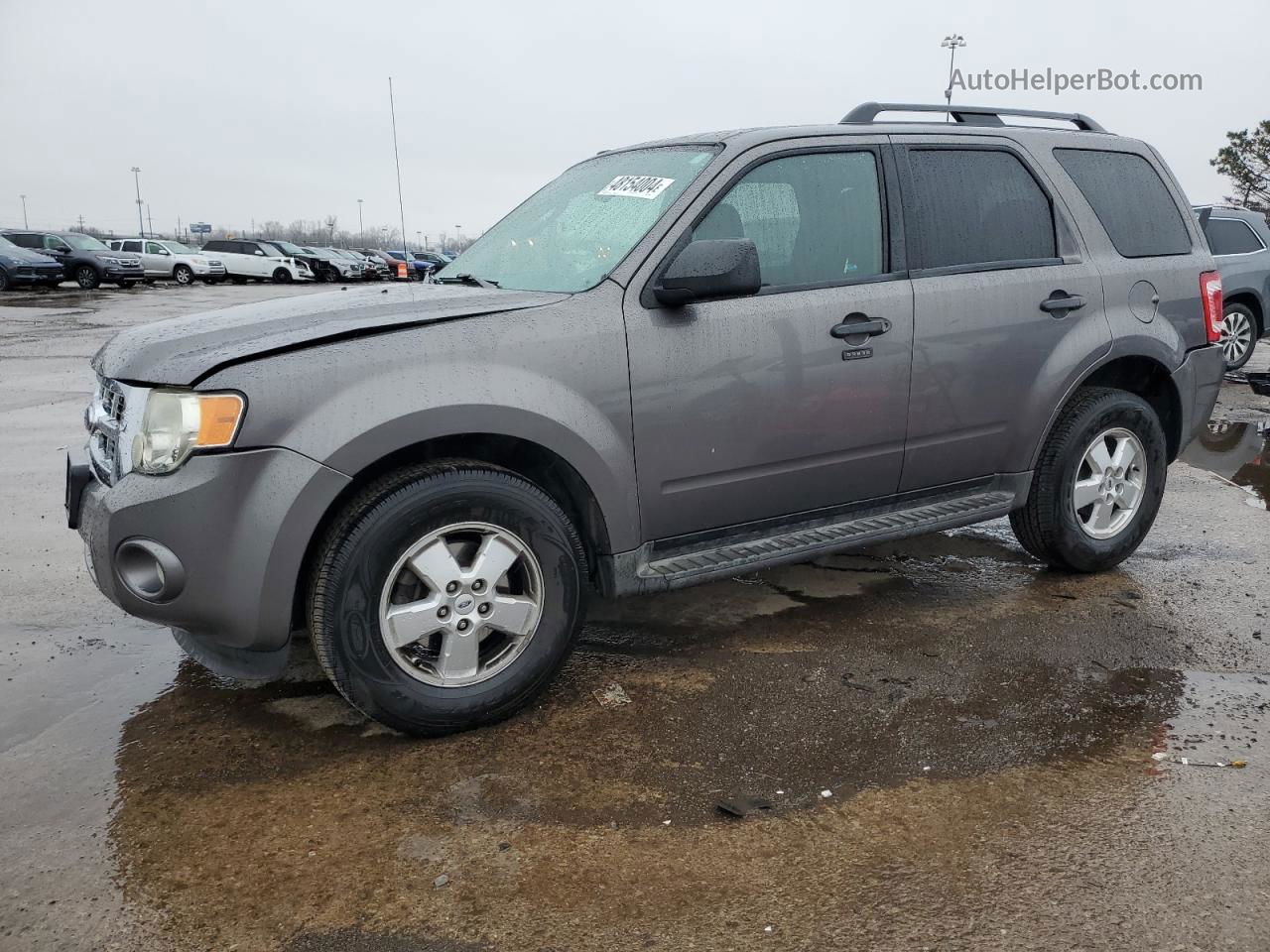 2009 Ford Escape Xlt Gray vin: 1FMCU03GX9KA50976