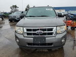 2009 Ford Escape Xlt Gray vin: 1FMCU03GX9KA50976