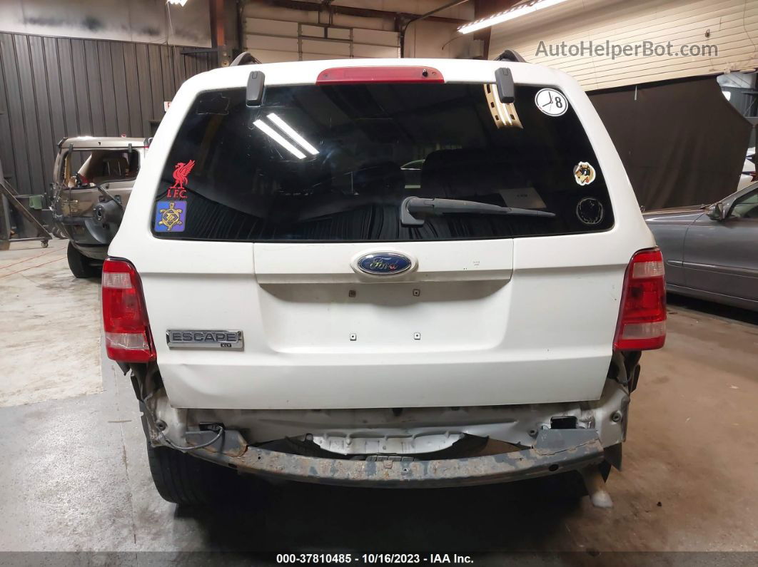 2009 Ford Escape Xlt White vin: 1FMCU03GX9KA79572