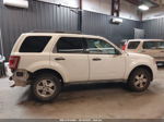 2009 Ford Escape Xlt Белый vin: 1FMCU03GX9KA79572