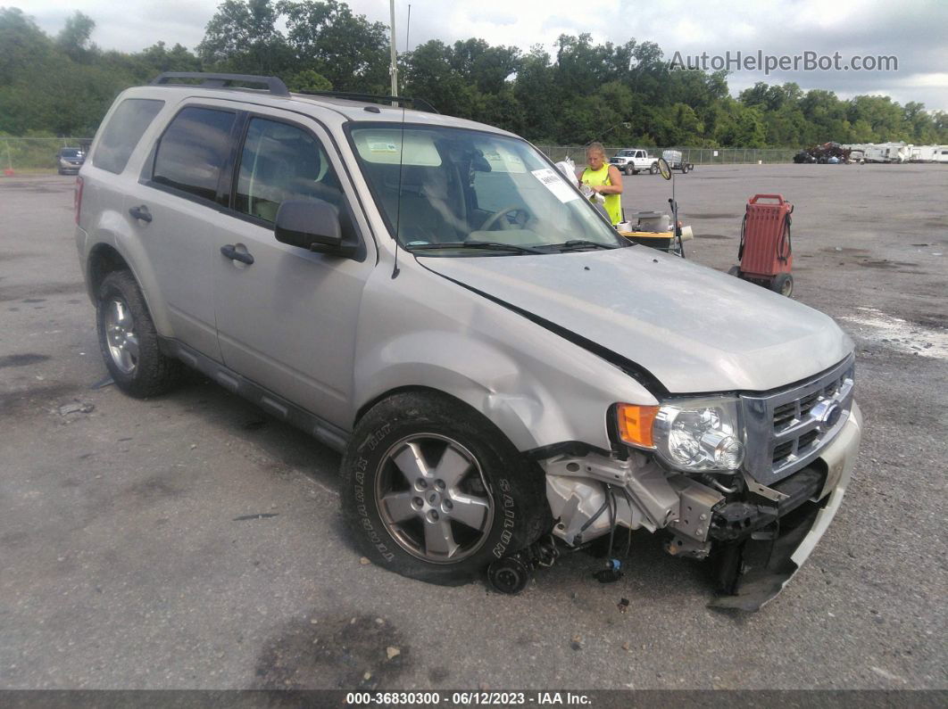 2009 Ford Escape Xlt Cream vin: 1FMCU03GX9KA87459