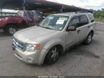 2009 Ford Escape Xlt Cream vin: 1FMCU03GX9KA87459