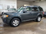 2009 Ford Escape Xlt Серый vin: 1FMCU03GX9KC01010