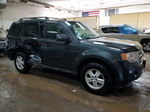 2009 Ford Escape Xlt Gray vin: 1FMCU03GX9KC01010