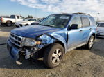 2009 Ford Escape Xlt Синий vin: 1FMCU03GX9KD14343