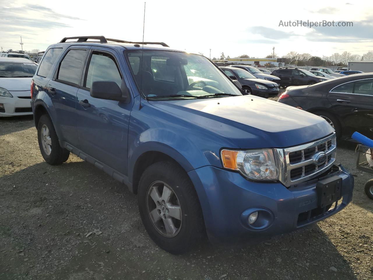 2009 Ford Escape Xlt Синий vin: 1FMCU03GX9KD14343