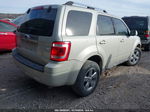 2009 Ford Escape Limited Beige vin: 1FMCU04769KB30144