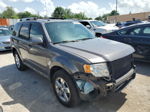 2009 Ford Escape Limited Gray vin: 1FMCU04789KD07518