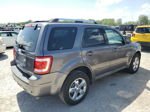 2009 Ford Escape Limited Gray vin: 1FMCU04789KD07518