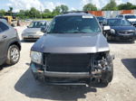 2009 Ford Escape Limited Gray vin: 1FMCU04789KD07518