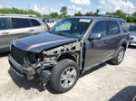 2009 Ford Escape Limited Gray vin: 1FMCU04789KD07518